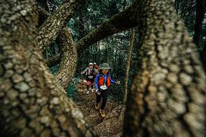 BIB: 
                            <button type="button" onclick="openModal(25703262)" class="btn btn-primary btn-sm float-right btn-popup" data-toggle="modal" data-target=".modal-high-quality">
                        <i class="fas fa-shopping-cart"></i> Add to Cart
                    </button>
                                            <button type="button" onclick="isThisMe(25703262, true)" class="btn btn-success btn-sm float-right btn-popup btn-isme hidden" data-toggle="tooltip" data-placement="bottom" title="นี่คือรูปของคุณใช่ไหม คลิกที่นี่เพื่อเอาเข้าอัลบั้ม">
                        <i class="fas fa-plus"></i> Add to album
                    </button>
                    <button type="button" onclick="isThisMe(25703262, false)" class="btn btn-warning btn-sm float-right btn-popup btn-isnotme hidden">
                        <i class="fas fa-ban"></i> Remove from album
                    </button>